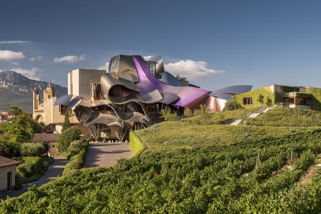 Marques de riscal vineyard